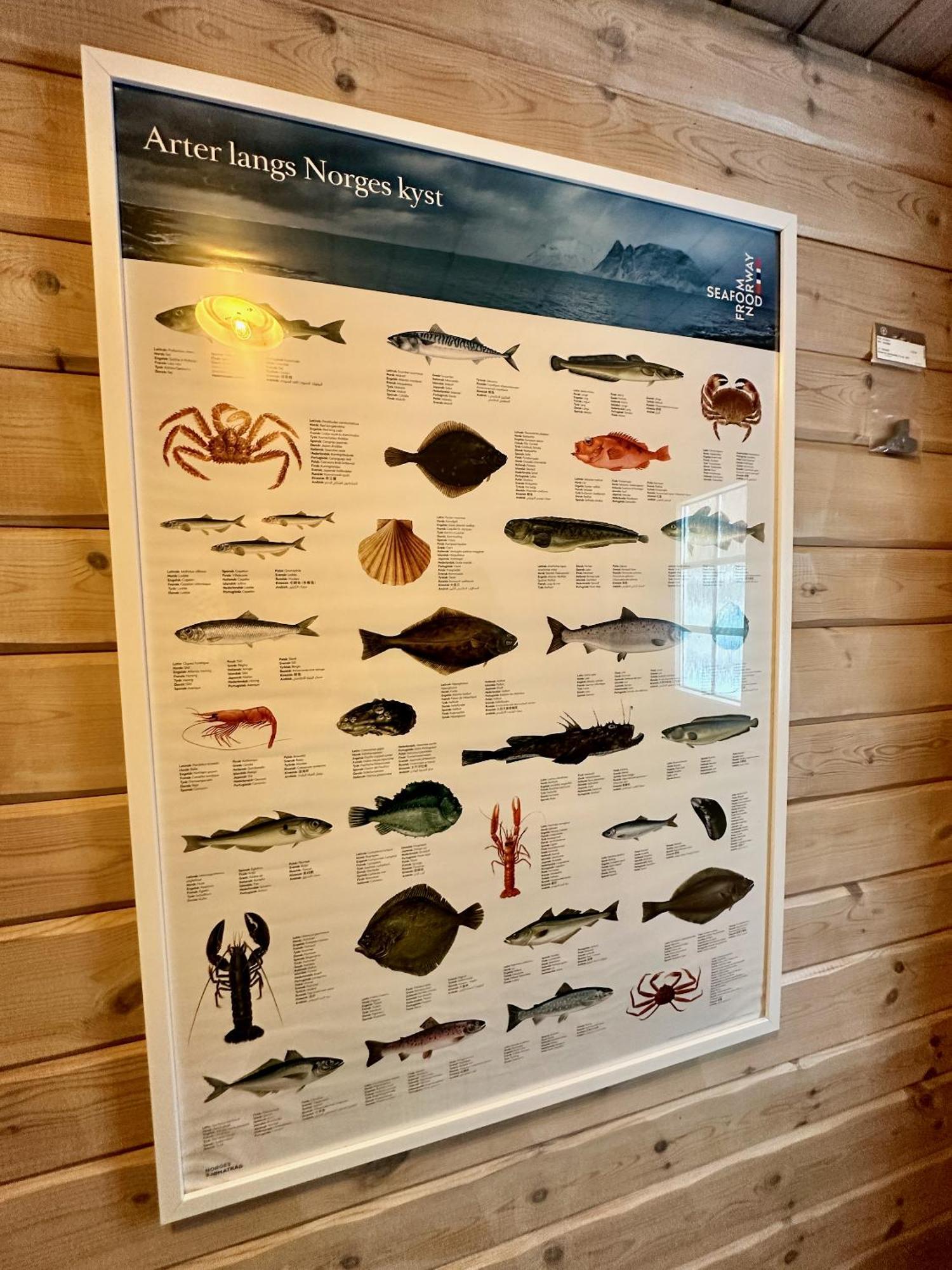Lofoten Troll Point Bostad Eksteriør bilde