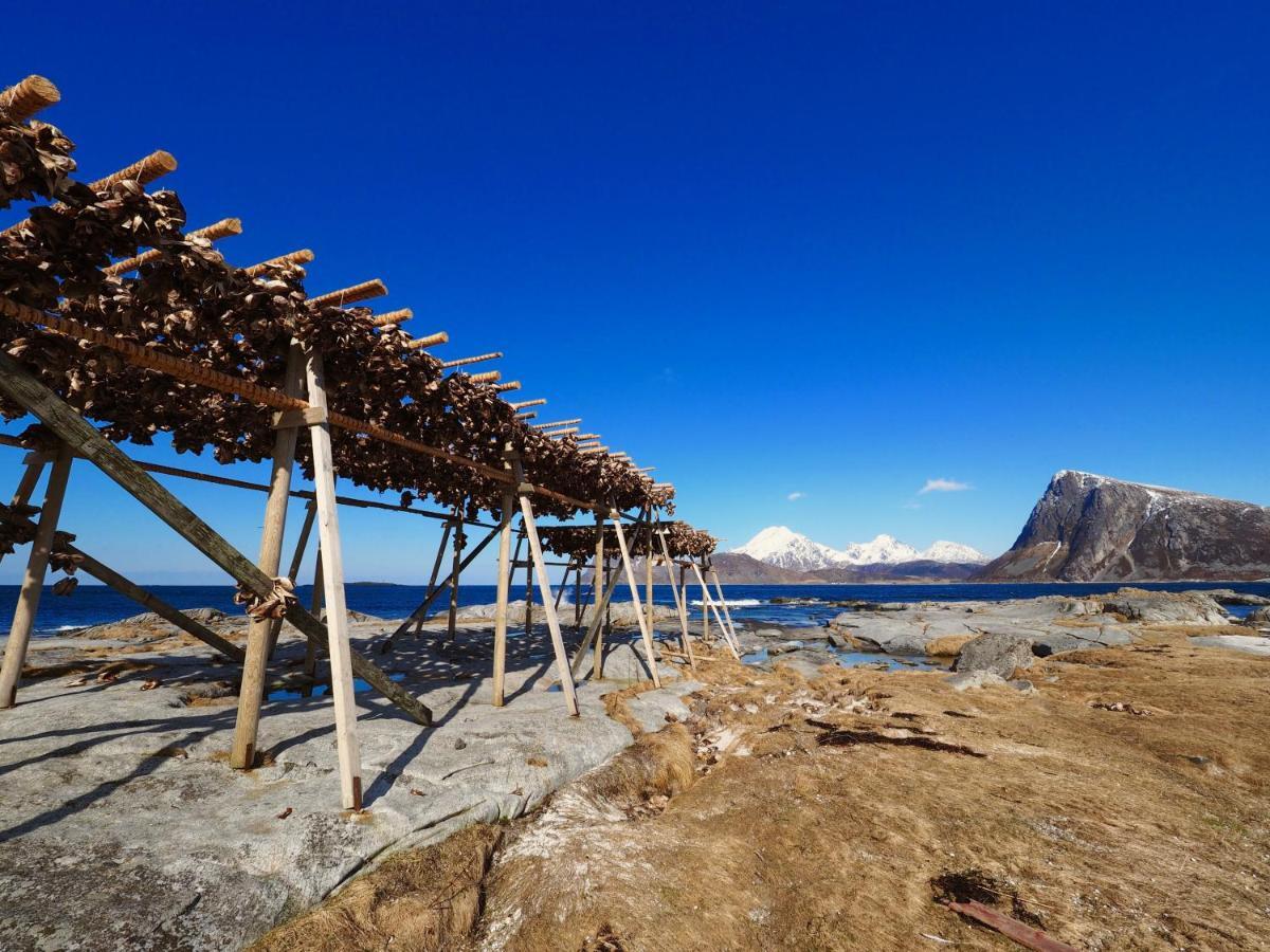 Lofoten Troll Point Bostad Eksteriør bilde
